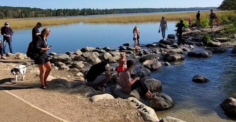 Most Minnesotans Don’t Realize The Mississippi River Begins At This State Park
