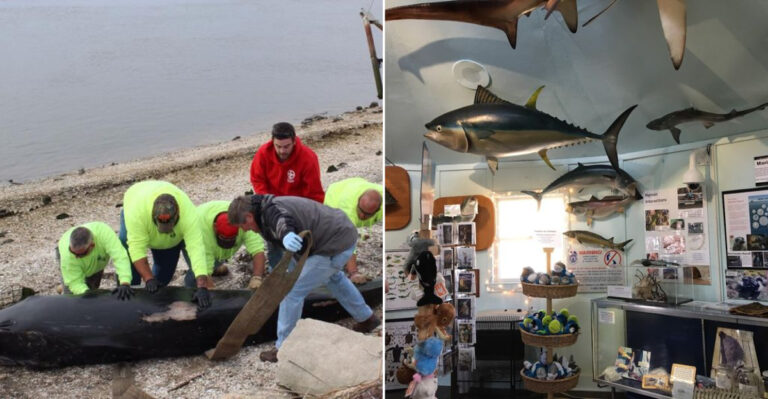 Most People Pass This Jersey Shore Gem Without Realizing How Special It Is