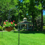 Most Visitors Walk Right Past This Beautiful Bentonville Garden Filled With Flowers and Quiet Paths