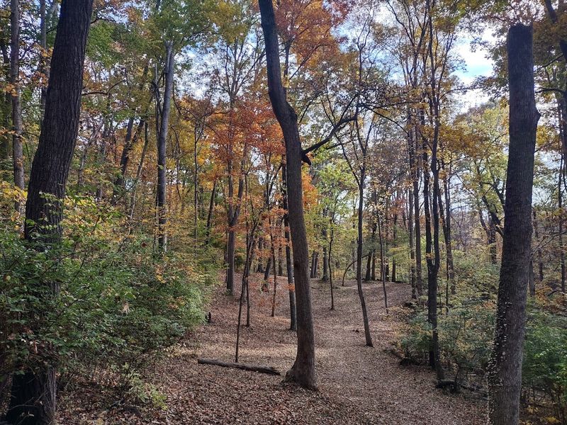Mountain Bike Trails For Riders Who Want A Challenge