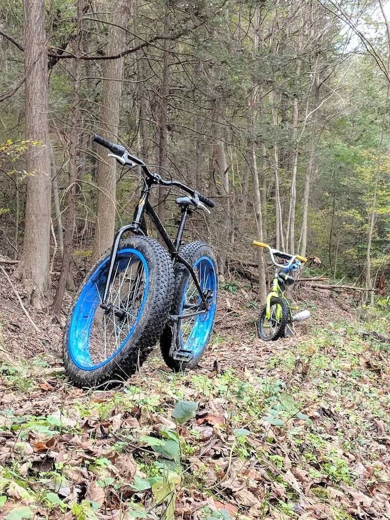 Mountain Bike Trails That Welcome Every Skill Level Mountain Bike Trails That Welcome Every Skill Level