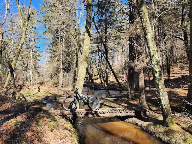 Mountain Biking With Real Depth