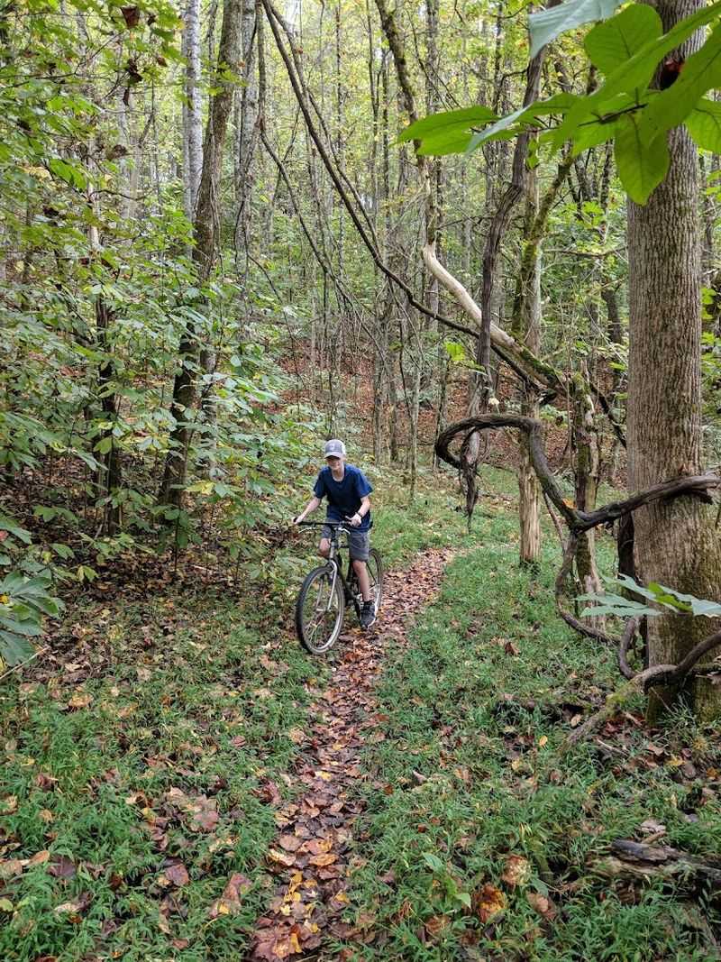 Mountain Biking With Room To Roam