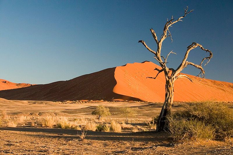 Namib Desert, Namibia