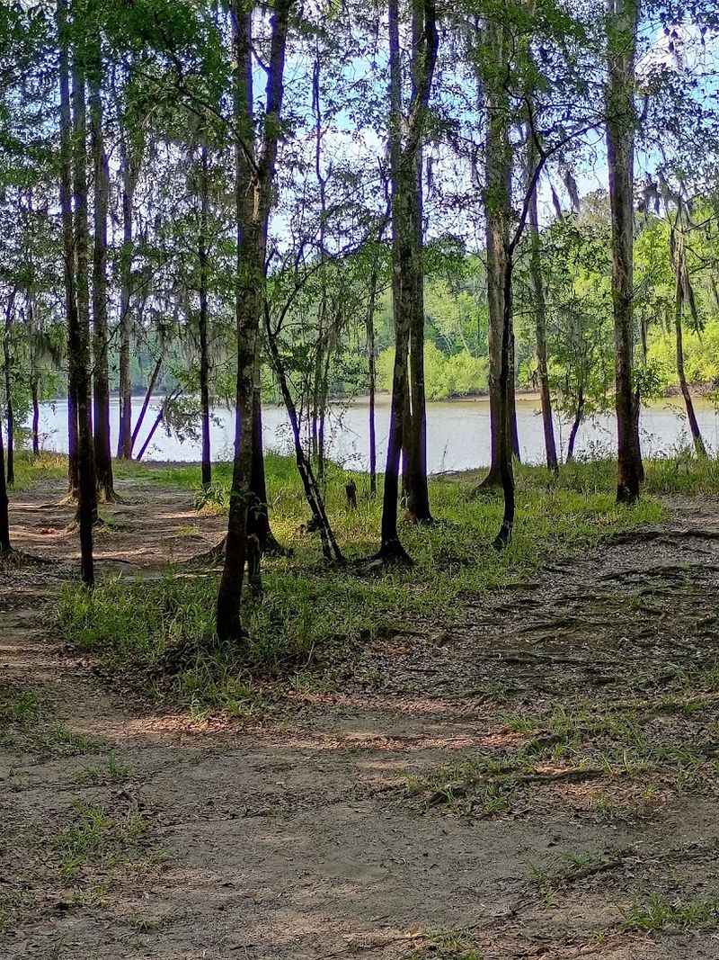 Nature Trails Through a Quiet Wooded Setting Nature Trails Through a Quiet Wooded Setting