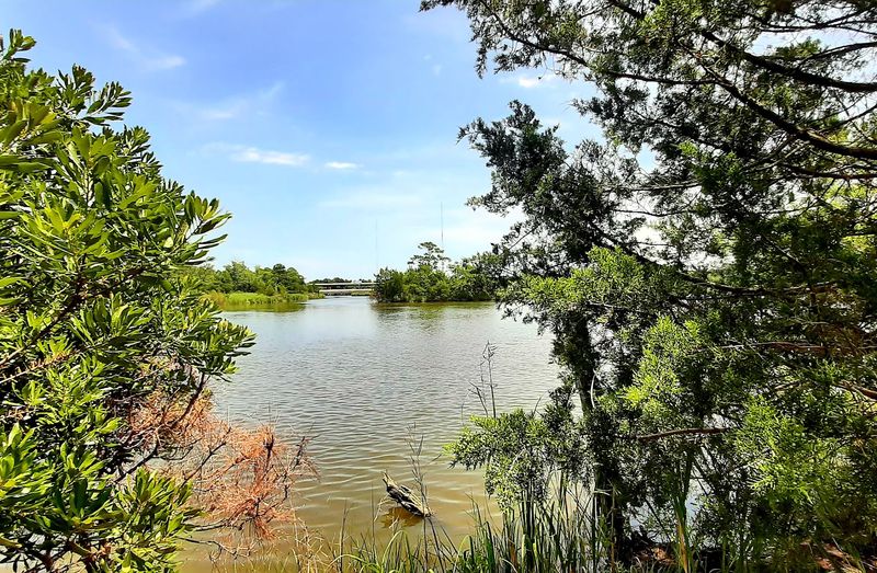 Nature Trails and the Arboretum