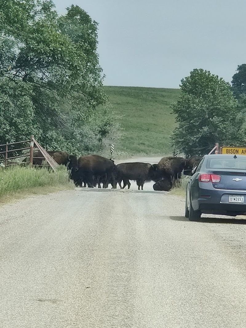 Nearby Pawhuska: Extending Your Day Trip