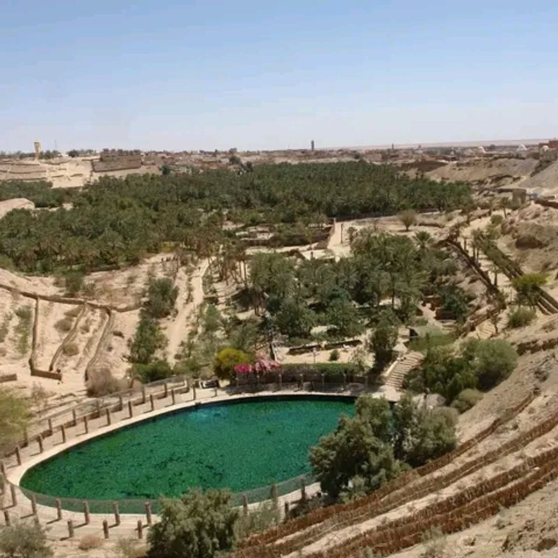 Nefta Oasis, Tozeur Governorate, Tunisia Nefta Oasis, Tozeur Governorate, Tunisia