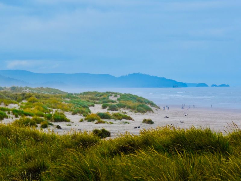 Nehalem Bay State Park Right Next Door