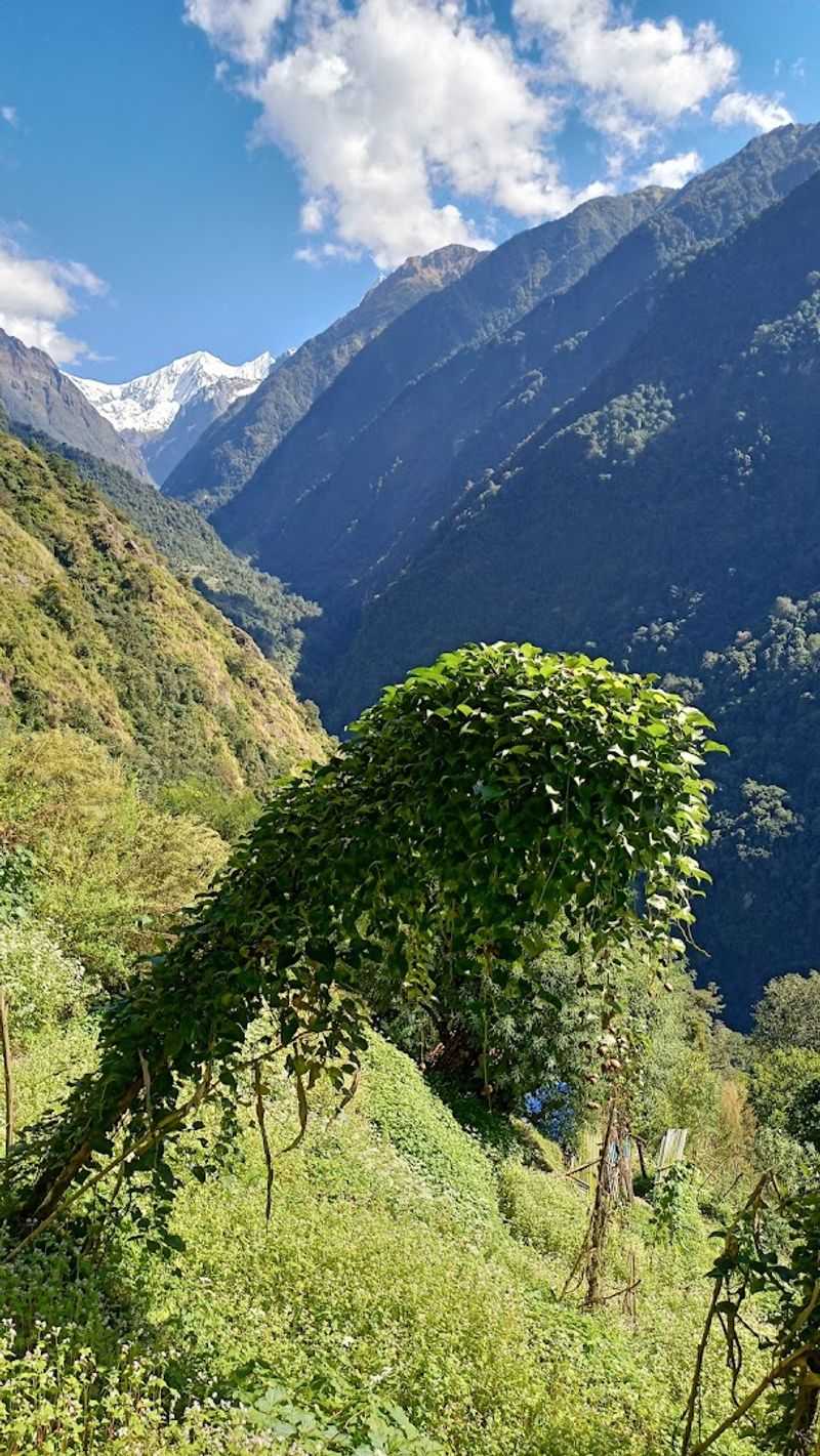Nepal Nepal