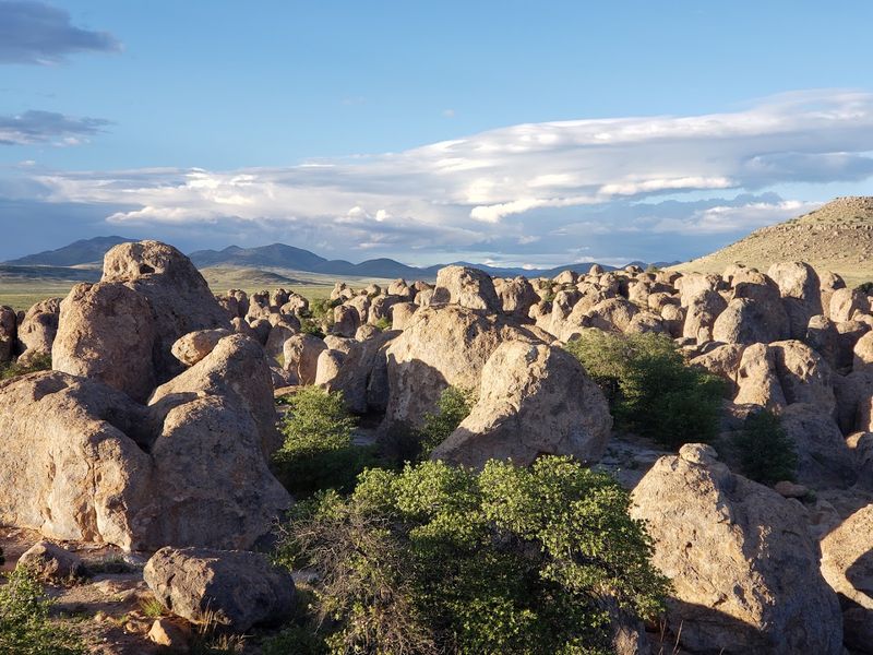 New Mexico State Parks, Statewide New Mexico State Parks, Statewide