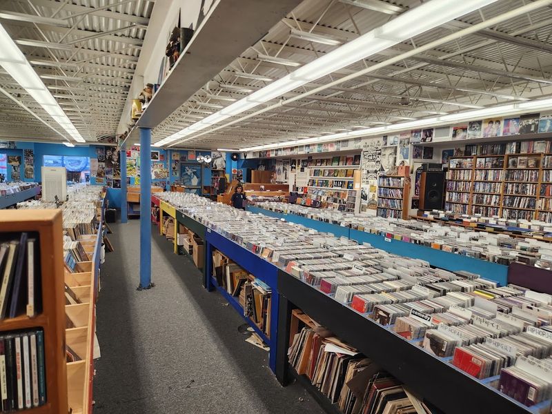 New Vinyl Releases Alongside the Classics New Vinyl Releases Alongside the Classics