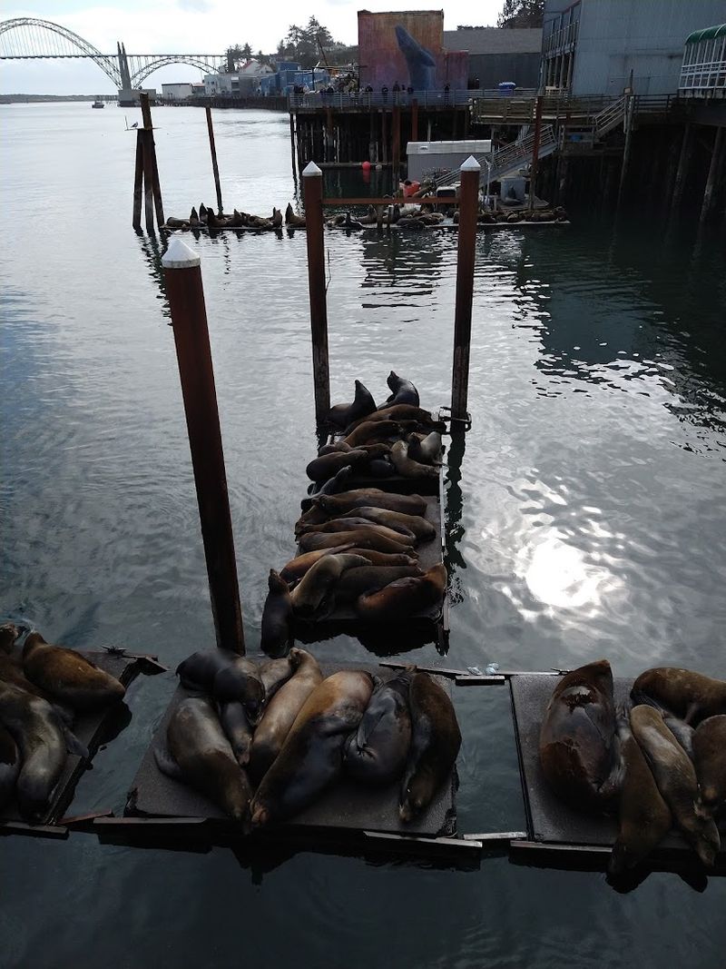 Newport — Oregon Newport — Oregon