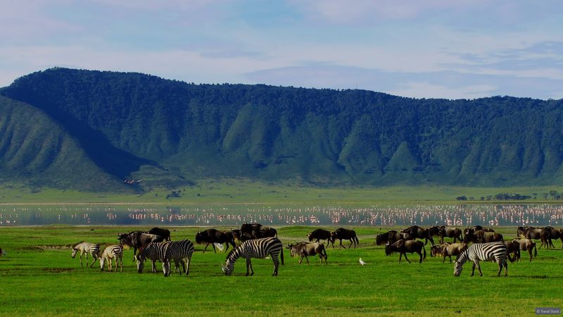 Ngorongoro Crater - Tanzania Ngorongoro Crater - Tanzania