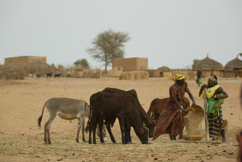 Niger Niger