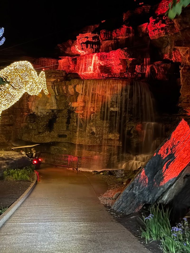 Night Tours: When the Canyon Transforms After Dark