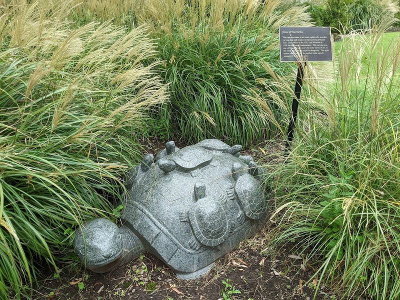 Nine Turtles and the Wisdom They Carry Nine Turtles and the Wisdom They Carry
