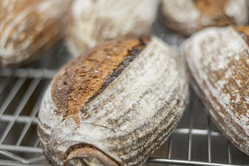 No Preservatives: What That Actually Means for the Bread You Eat No Preservatives: What That Actually Means for the Bread You Eat