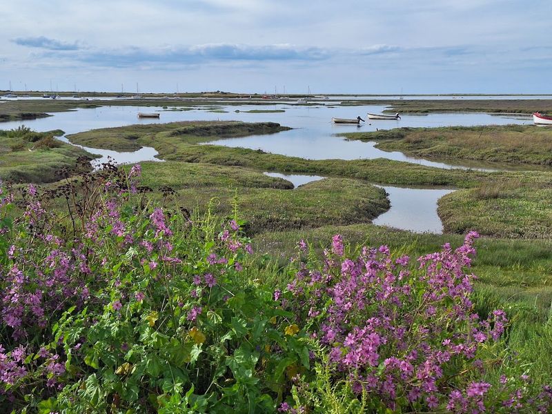 Norfolk Coast Marshes, Titchwell, Norfolk, England Norfolk Coast Marshes, Titchwell, Norfolk, England