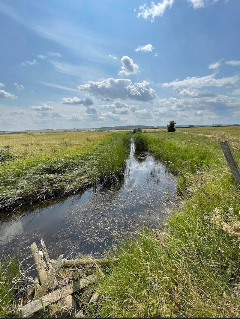 North Kent Marshes, Gillingham, Kent, England North Kent Marshes, Gillingham, Kent, England