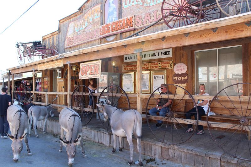 Oatman, Arizona, USA