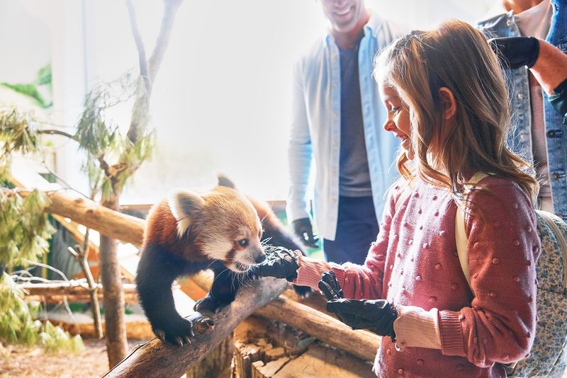 Oglebay Good Zoo, Wheeling, West Virginia