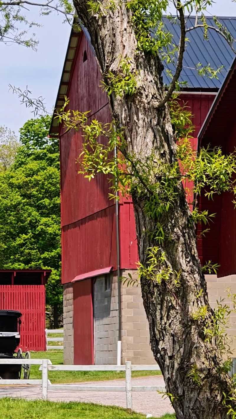 Ohio Ohio