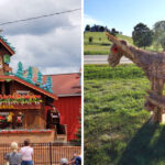 Ohio’s Little Switzerland Is Home to the World’s Largest Cuckoo Clock