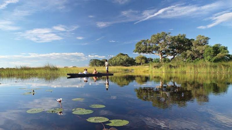 Okavango Delta, North-West District, Botswana