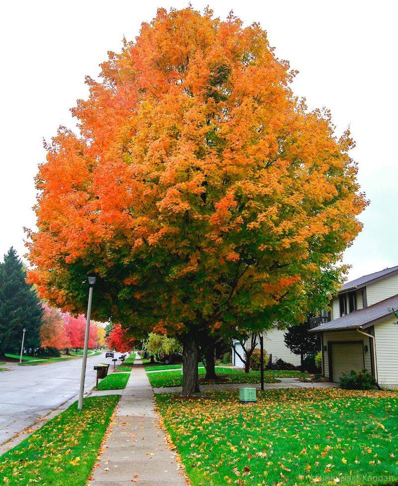 Okemos, Michigan Okemos, Michigan