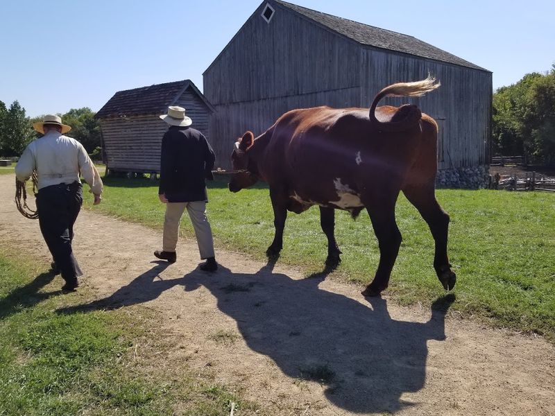 Old-World Farming Techniques Still in Practice