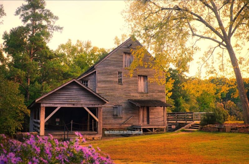 One House Rule Worth Knowing: No Pets One House Rule Worth Knowing: No Pets