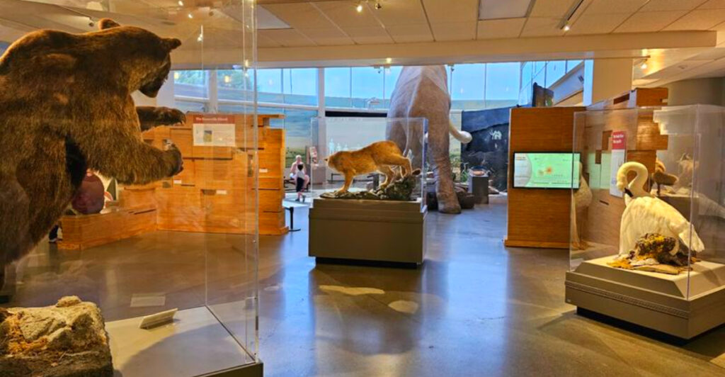 One of Idaho’s Best Museums Combines Mammoths, Frontier History, and Hands-On Science