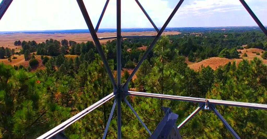 One of Nebraska’s Most Unexpected Natural Wonders Is a Forest Planted by Human Hands