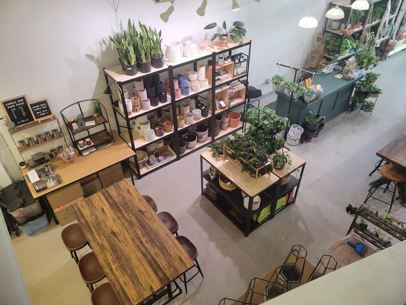 Online Shopping and Local Plant Delivery Online Shopping and Local Plant Delivery