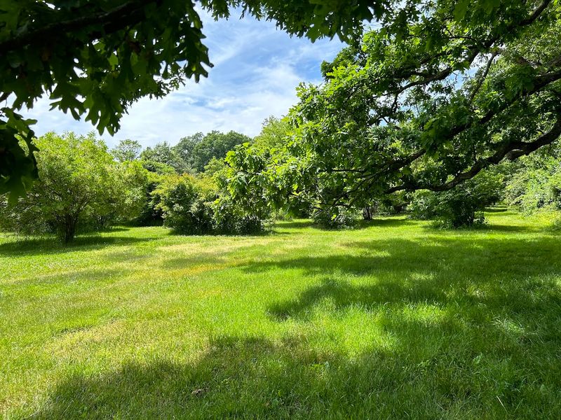 Open Fields and Grass Areas for Relaxed Visits Open Fields and Grass Areas for Relaxed Visits