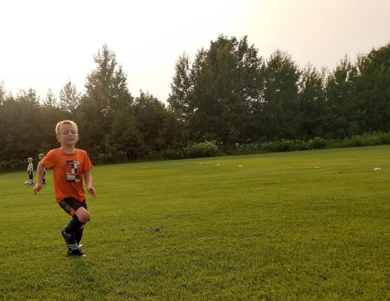 Open Fields for Casual Play and Family Outings