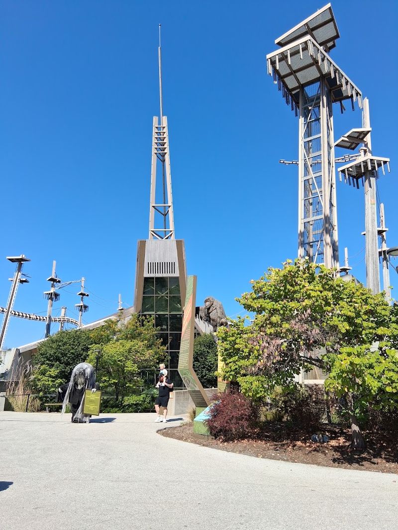 Orangutans and the Towers They Call Home