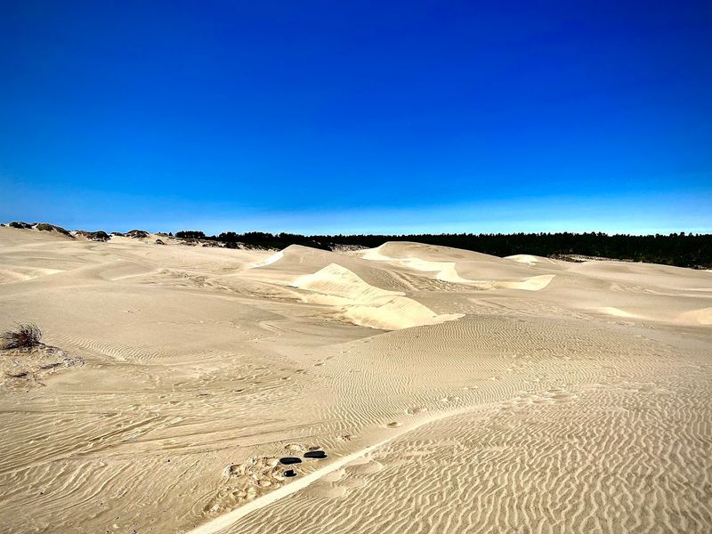 Oregon Dunes National Recreation Area Oregon Dunes National Recreation Area