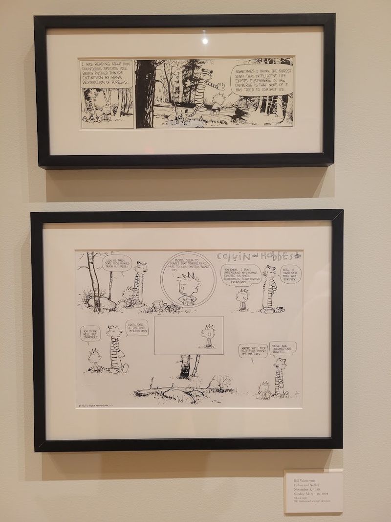 Original Calvin and Hobbes Artwork on Display