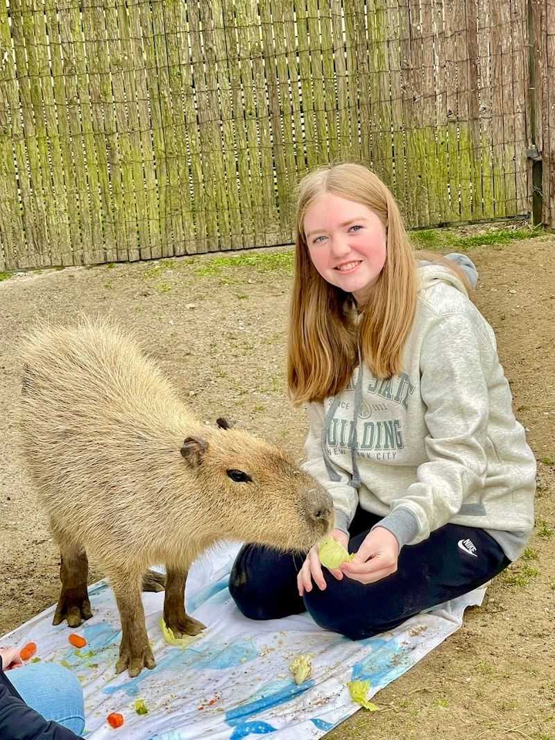 Over 150 Animals and the Variety That Comes With It