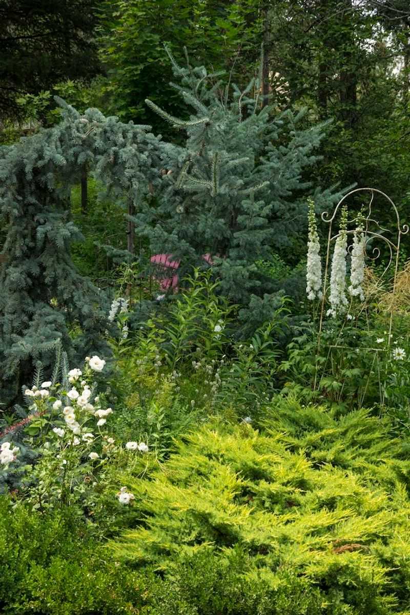 Over 1,500 Plant Varieties, Including Some From Siberia Over 1,500 Plant Varieties, Including Some From Siberia