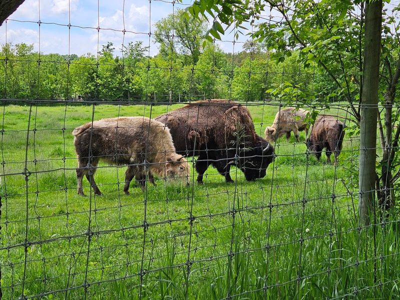 Over 400 Animals Across 100 Acres Over 400 Animals Across 100 Acres