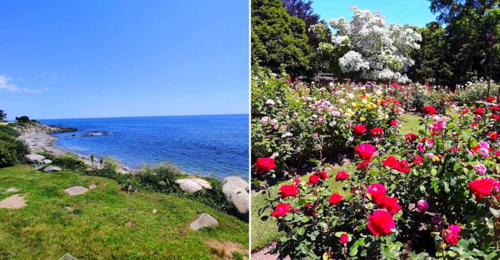 Overlooking the Atlantic, This Historic New Hampshire Garden Is Home to Thousands of Roses