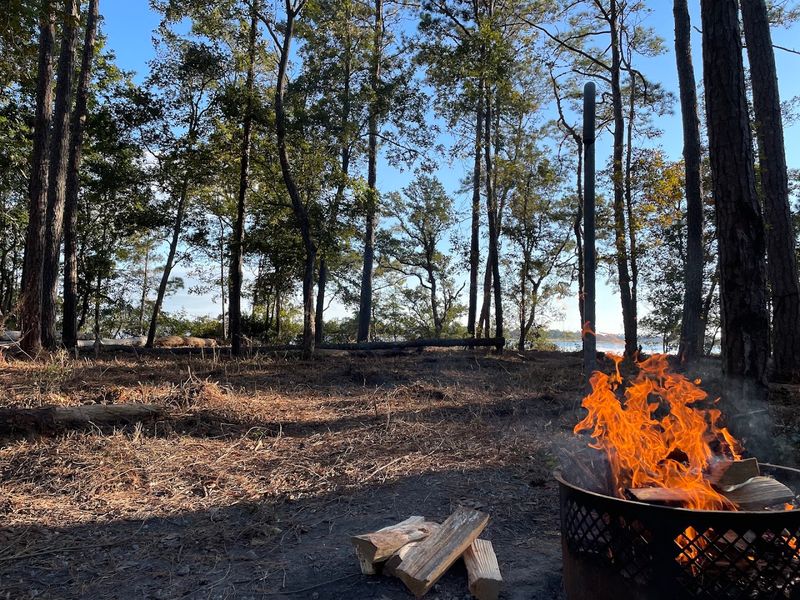 Oyster Point Campground — Croatan National Forest Oyster Point Campground — Croatan National Forest