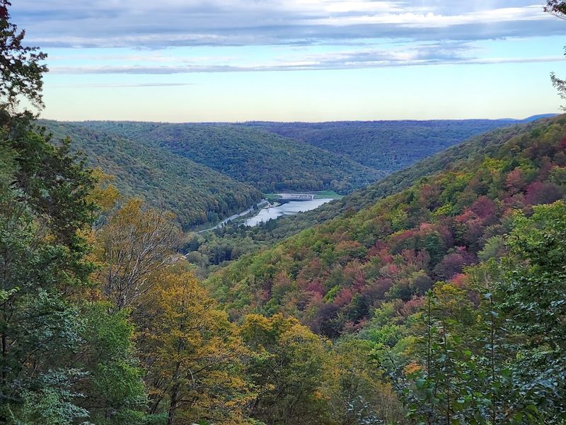 PA Route 44 Through Susquehannock State Forest, Coudersport, Pennsylvania