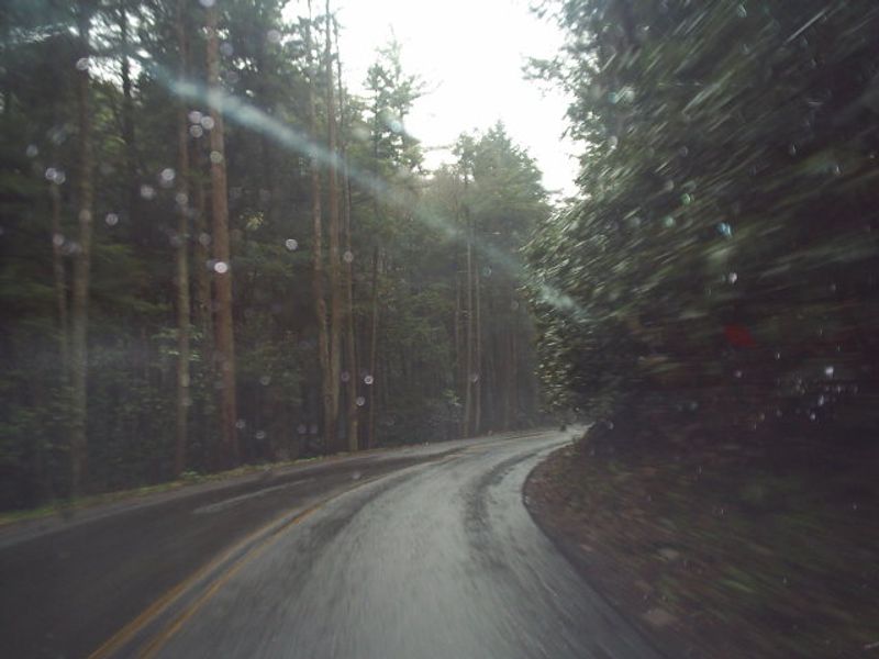 PA Route 445 Through Michaux State Forest, Pine Grove Furnace, Pennsylvania