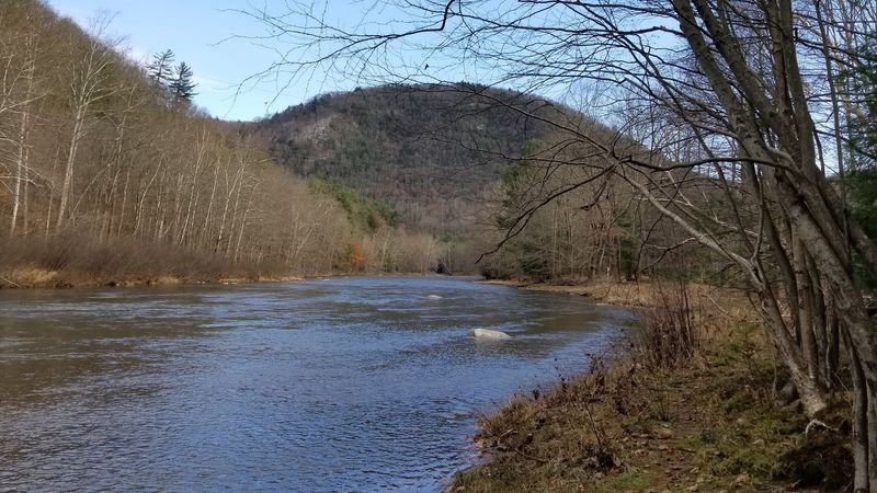 PA Route 555 Through Elk State Forest, Benezette, Pennsylvania
