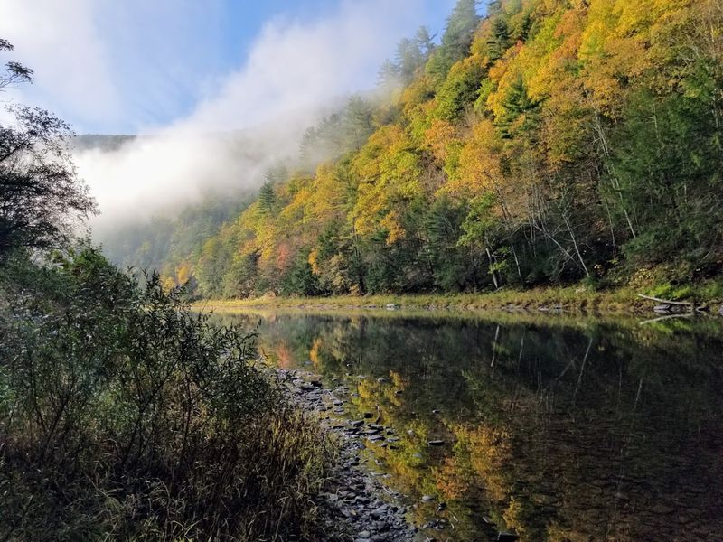 PA Route 87 Through Tiadaghton State Forest, Hillsgrove, Pennsylvania