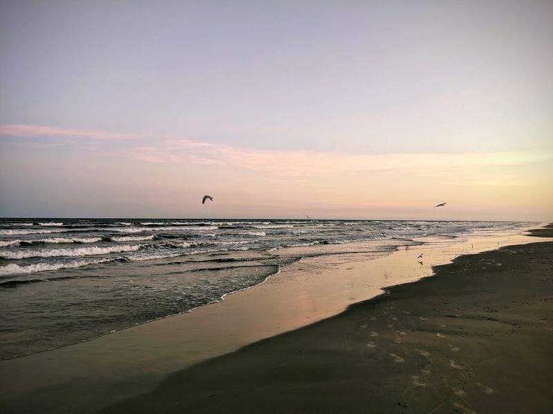 Padre Island National Seashore, Corpus Christi, Texas, USA